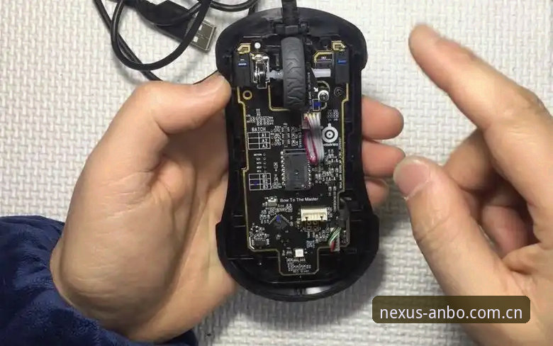 ANBO电竞娱乐教程：从注册到实时投注的完整操作指南