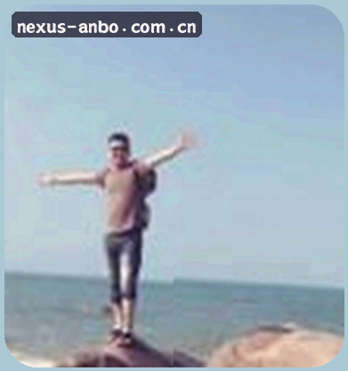 赵磊